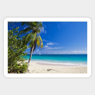 Caribbean Beach With Palm Sticker